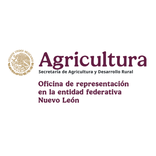 Diseño sin título (7)